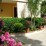 Xenia أفولا