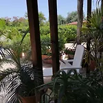 Xenia شقة *