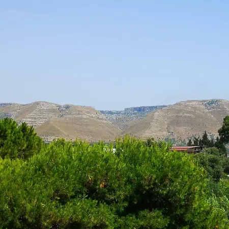 Xenia * Avola